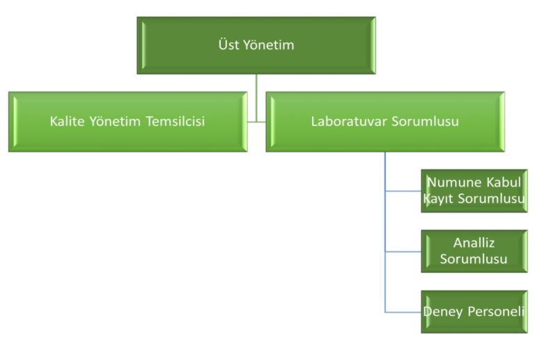 Tierra Lab Organizasyon Şeması