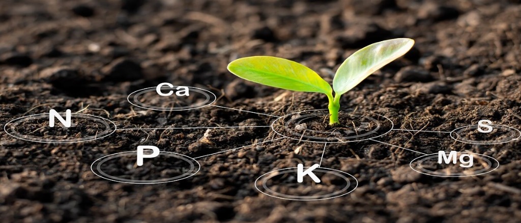 Tierra Lab Toprak Analizi Detaylı Görünüm