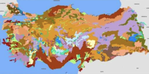 Toprak Etüt ve Haritalama